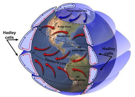 Ferrel cell  Atmospheric Circulation, Global Wind Patterns & Jet