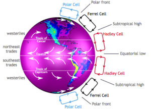 circulation atmospheric polar penetration hadley ferrel